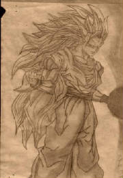 gokuss3.jpg